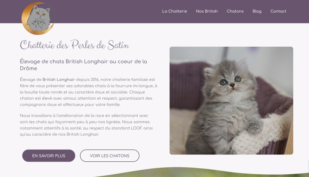 Accueil du site de la Chatterie des Perles de Satin, élevage de British Longhair dans la Drôme