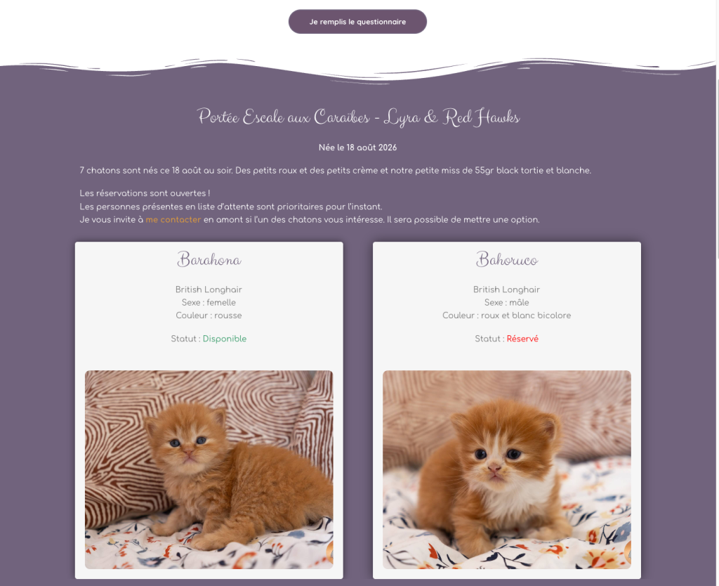 Page des chatons disponibles de la Chatterie des Perles de Satin, avec fiches et statut de réservation